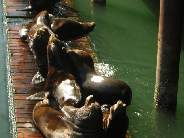 DSCN0290.jpg