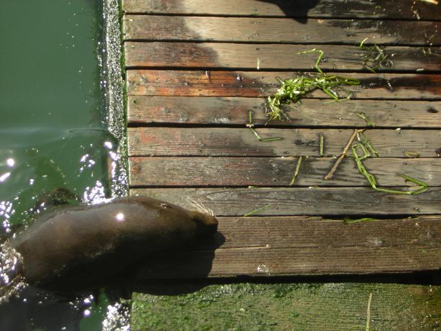 DSCN0291.jpg
