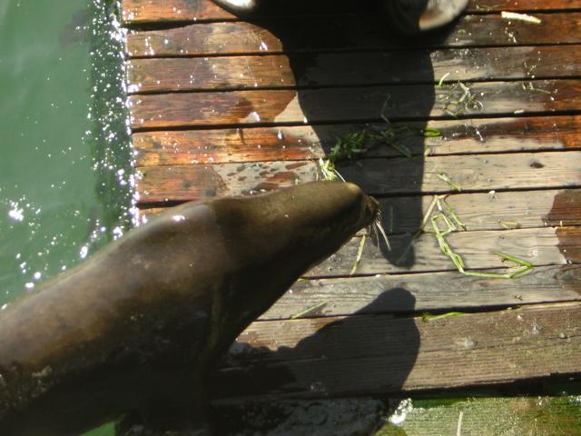 DSCN0292.jpg