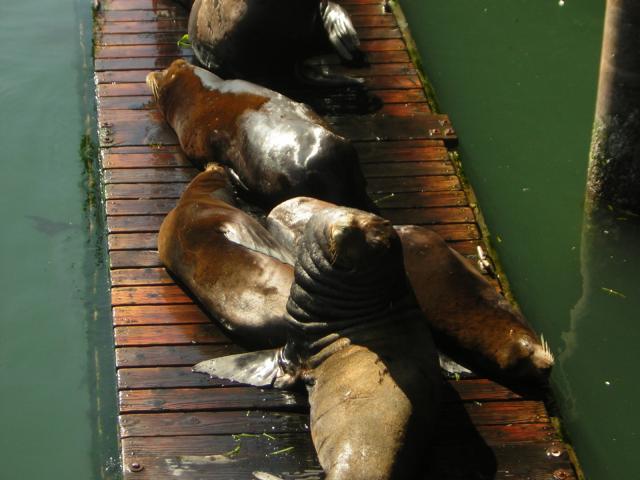 DSCN0294.jpg