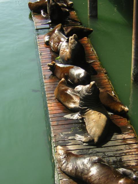 DSCN0295.jpg