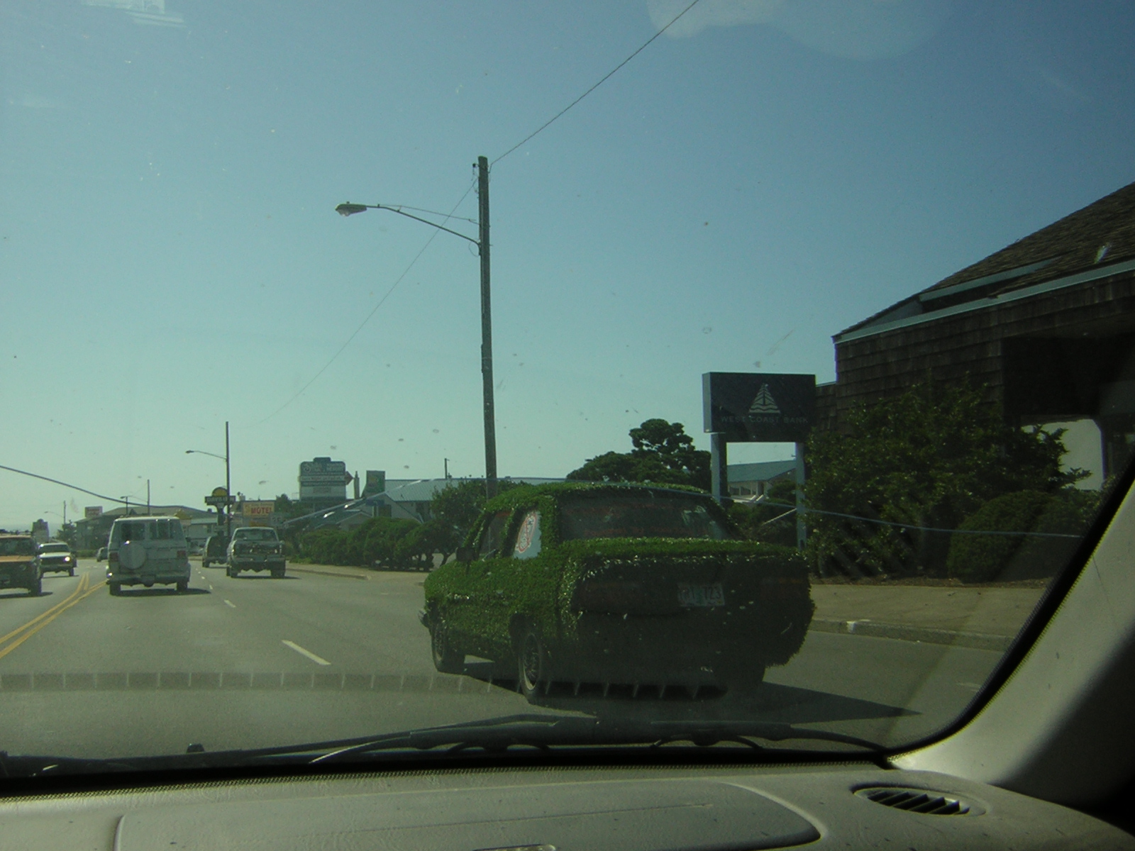 DSCN0296.jpg