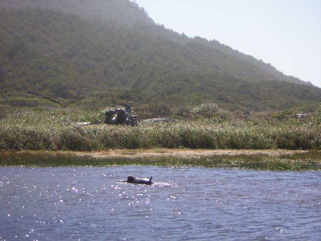 DSCN0299.jpg