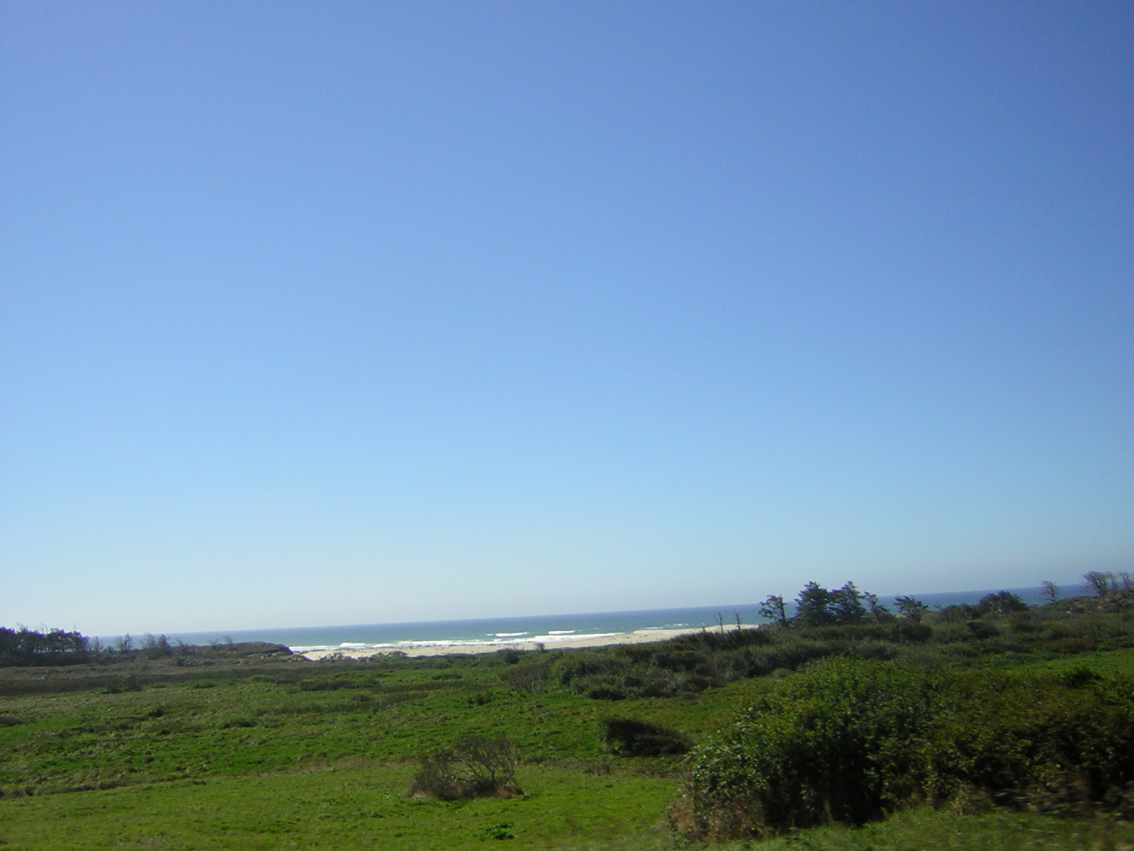 DSCN0305.jpg