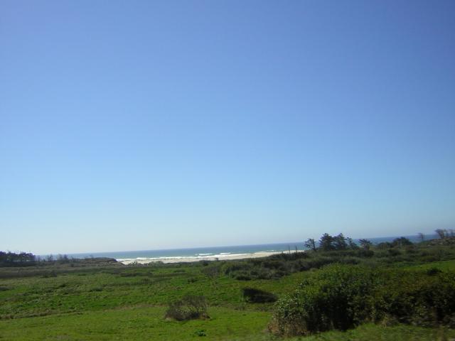 DSCN0305.jpg