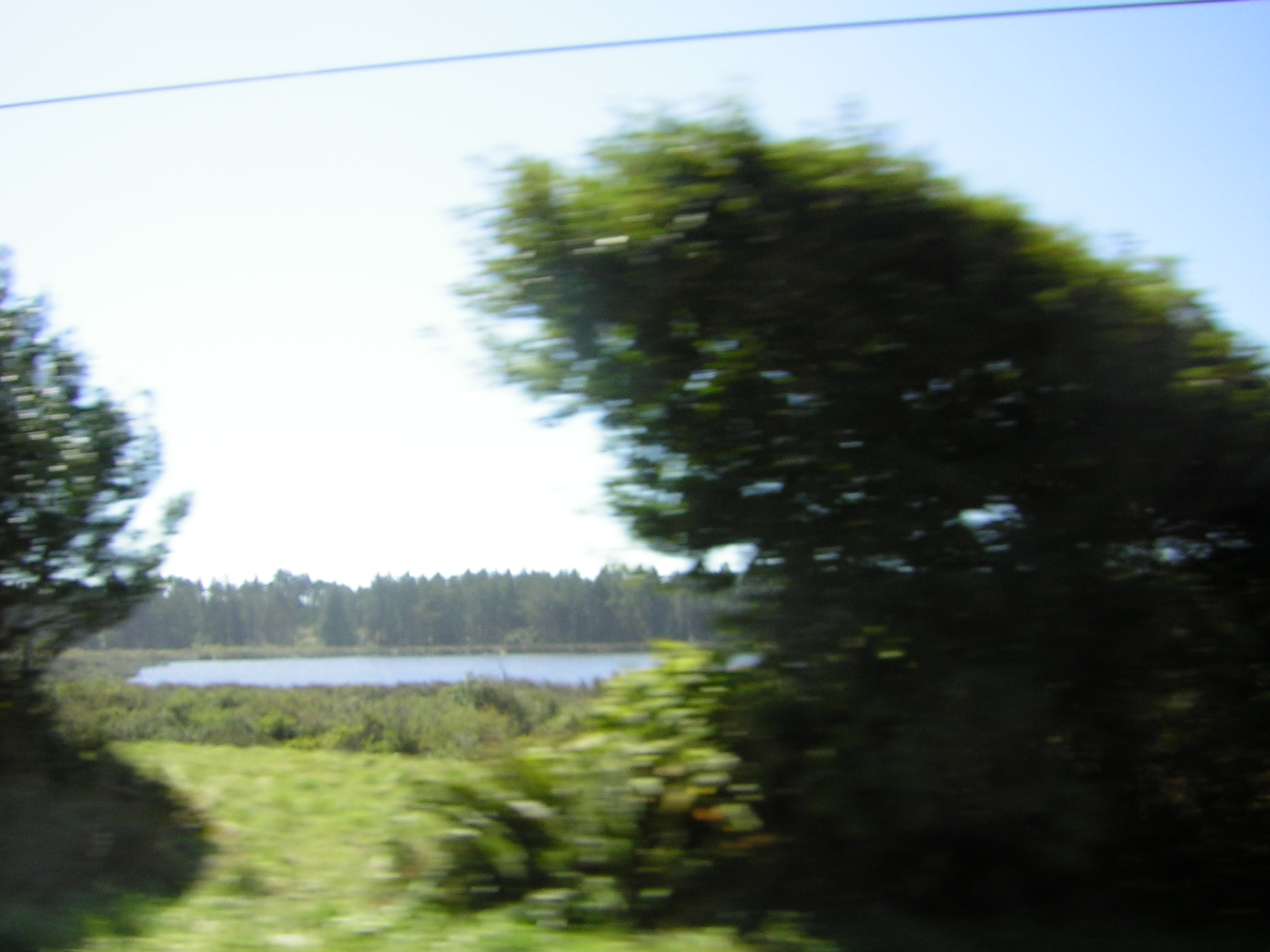 DSCN0306.jpg