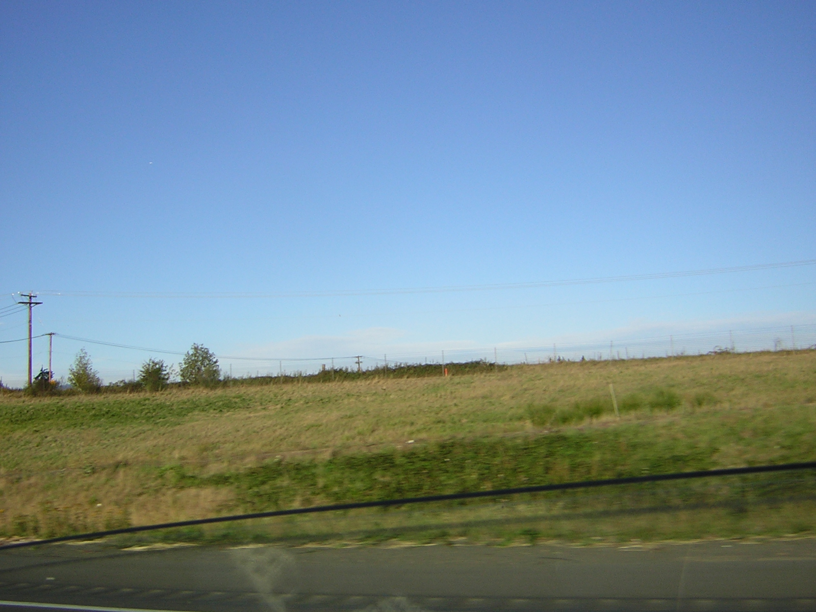 DSCN0317.jpg