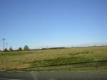DSCN0317.jpg