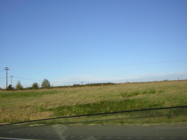 DSCN0317.jpg