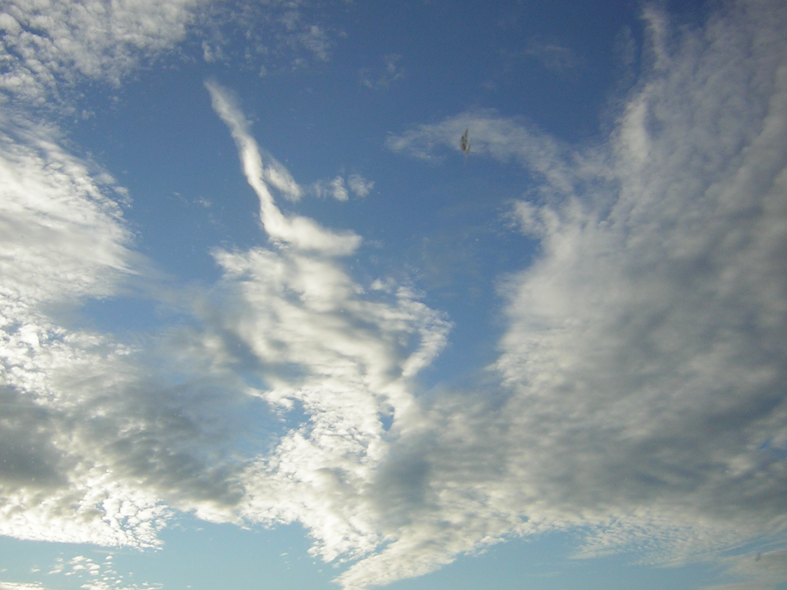 DSCN0318.jpg