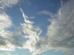 DSCN0318.jpg