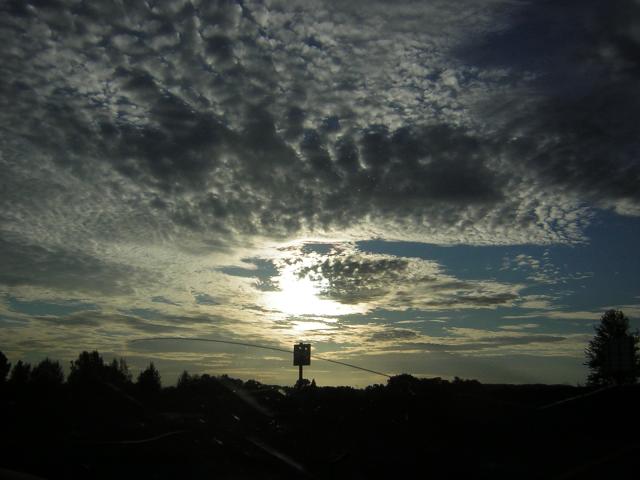 DSCN0319.jpg