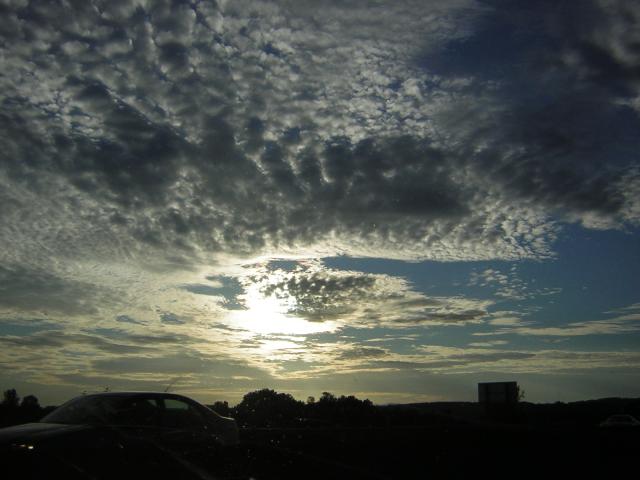 DSCN0320.jpg