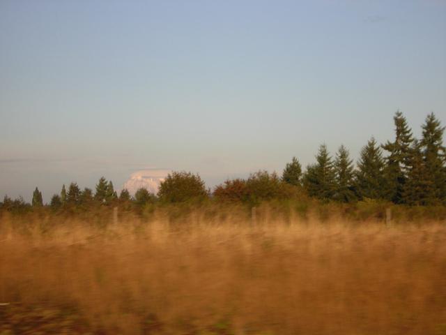 DSCN0321.jpg