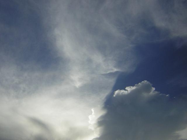 DSCN0008_001.jpg