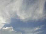 DSCN0009_001.jpg