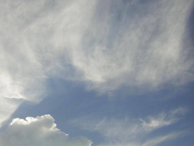 DSCN0009_001.jpg
