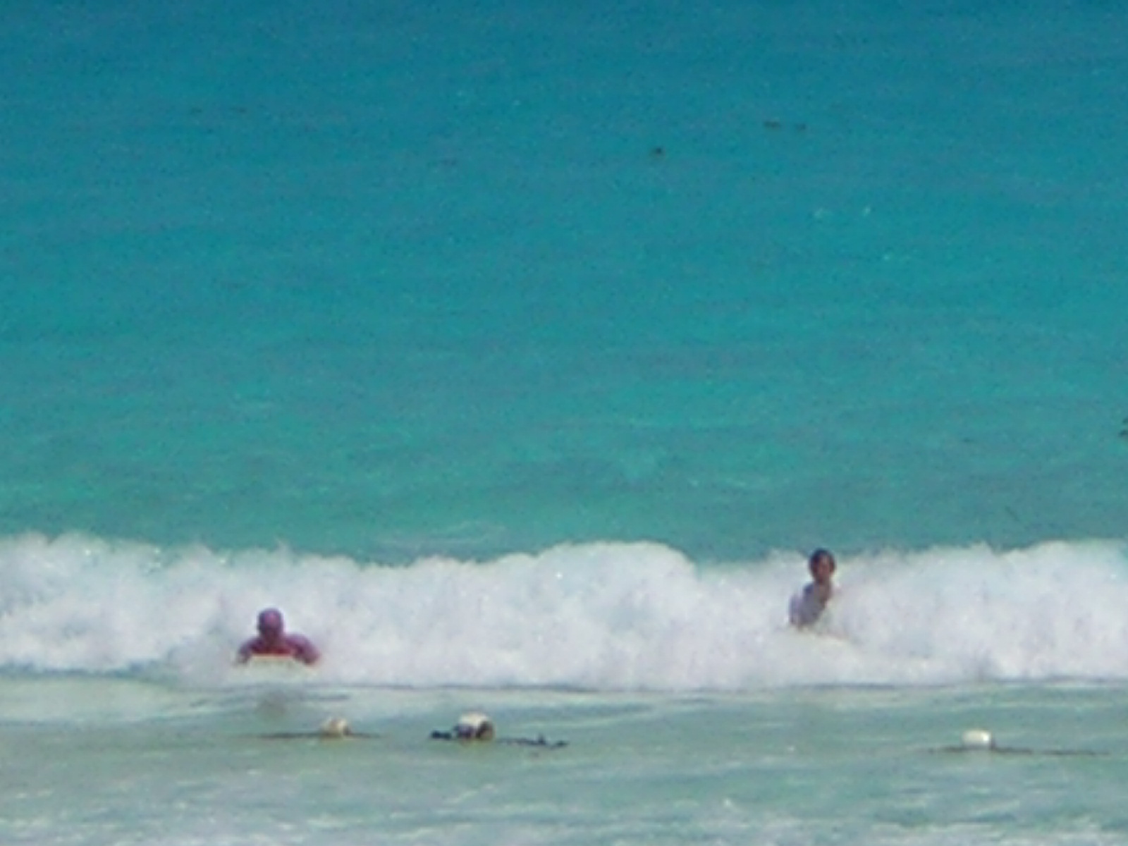 DSCN0037.jpg