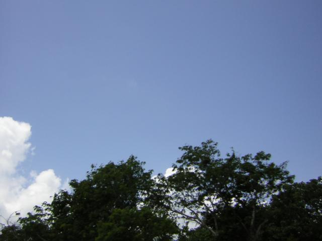 DSCN0070.jpg