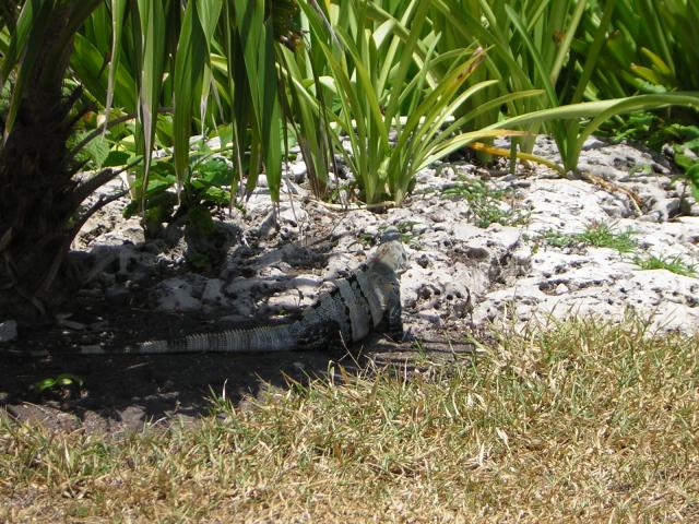 DSCN0077.jpg