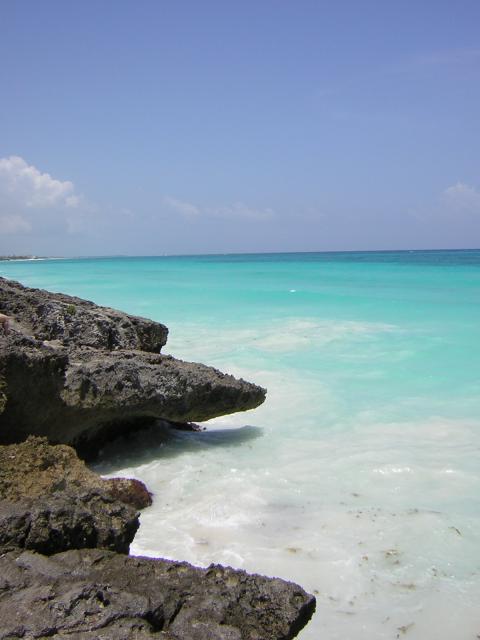 DSCN0083.jpg