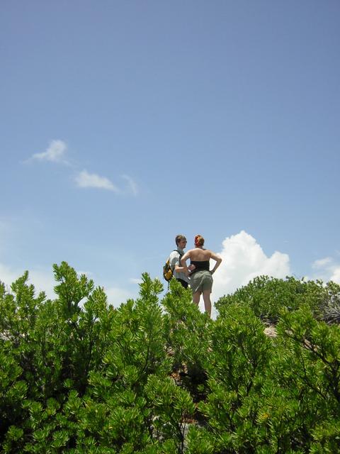 DSCN0087.jpg