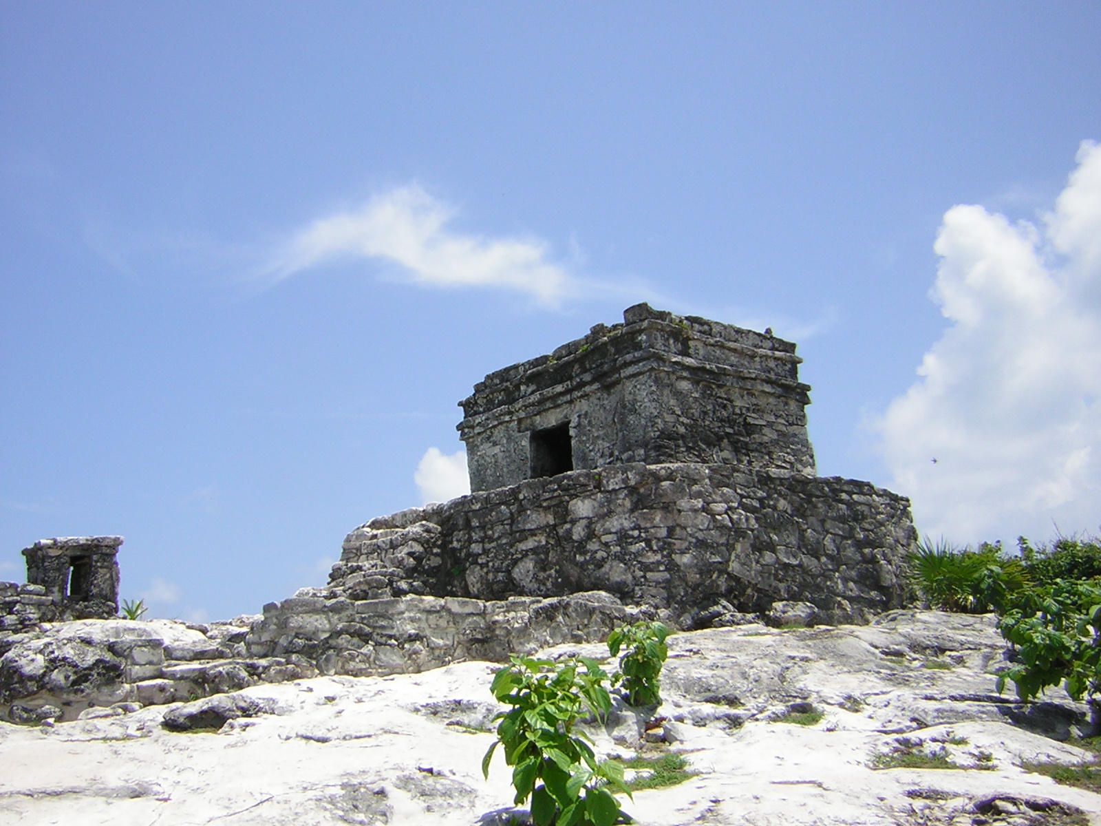 DSCN0090.jpg