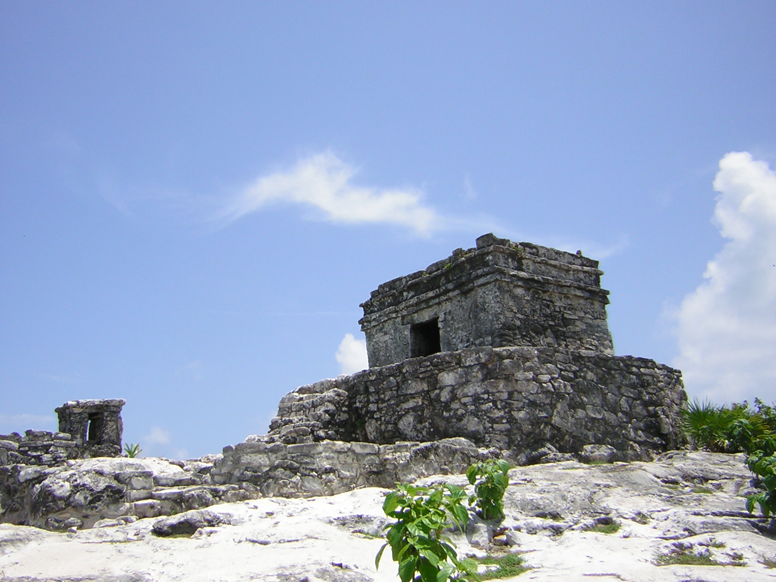 DSCN0091.jpg