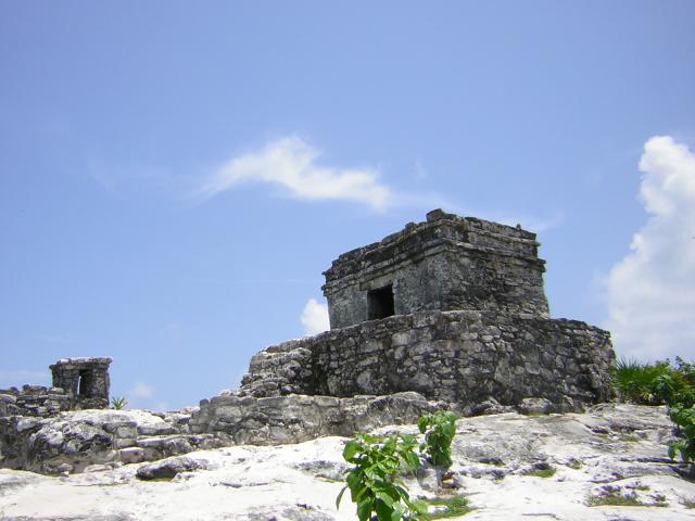 DSCN0091.jpg