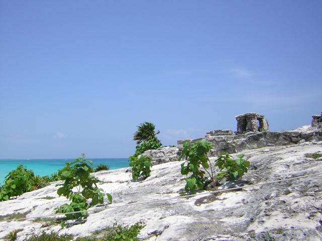 DSCN0093.jpg
