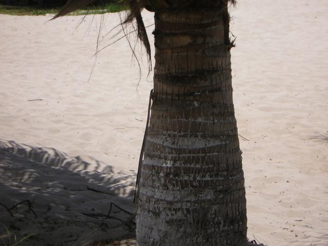 DSCN0096.jpg