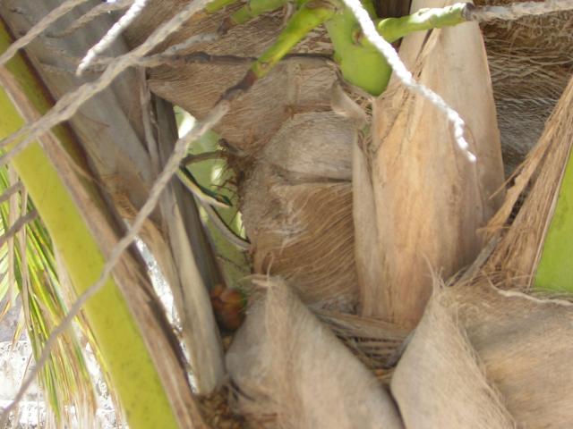 DSCN0097.jpg