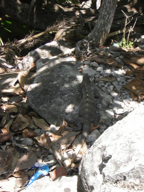 DSCN0098.jpg