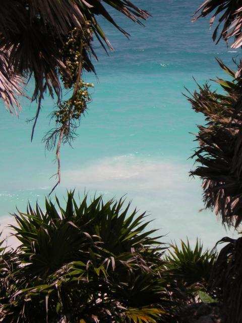 DSCN0100.jpg