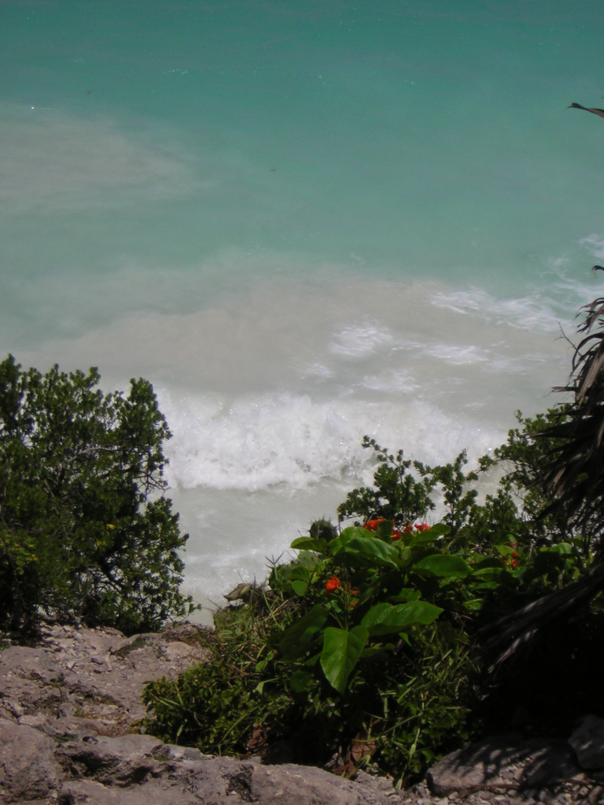 DSCN0103.jpg