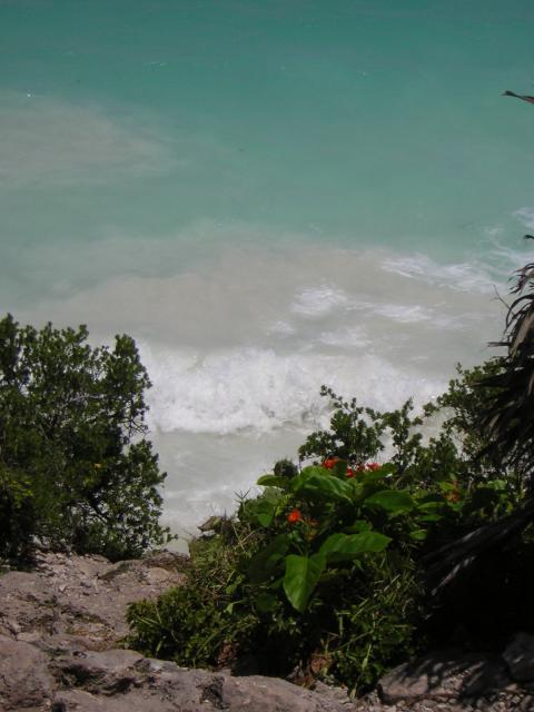 DSCN0103.jpg