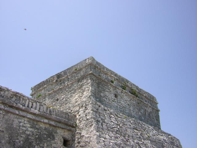 DSCN0104.jpg