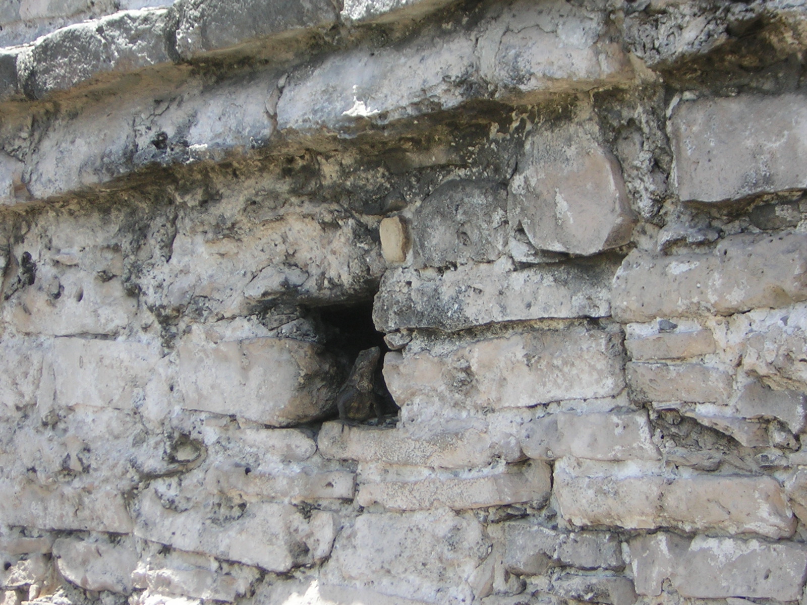 DSCN0108.jpg