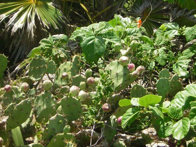 DSCN0109.jpg