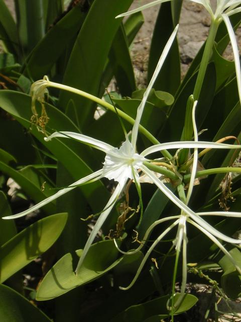 DSCN0111.jpg
