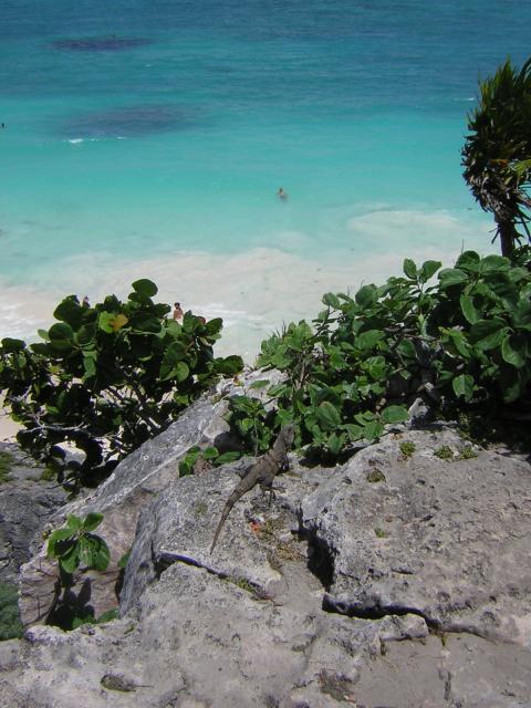 DSCN0112.jpg