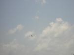 DSCN0113.jpg