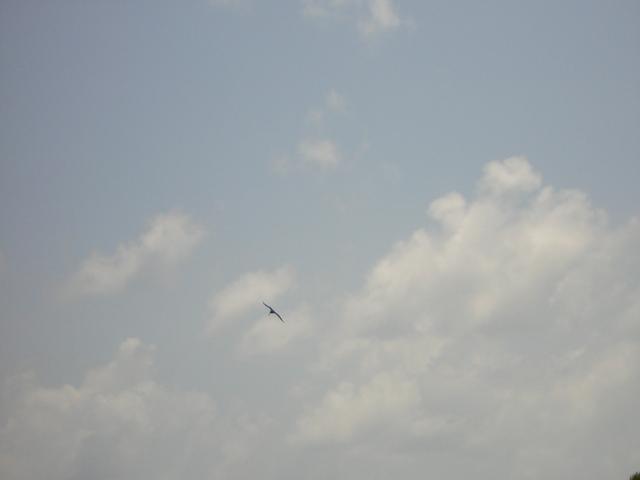 DSCN0113.jpg