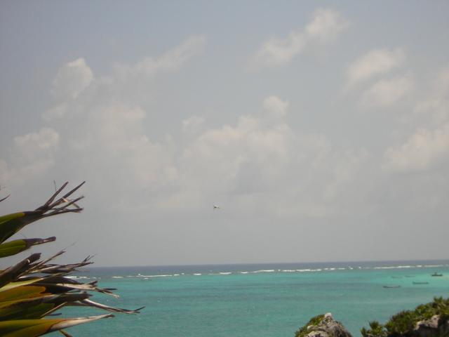 DSCN0114.jpg