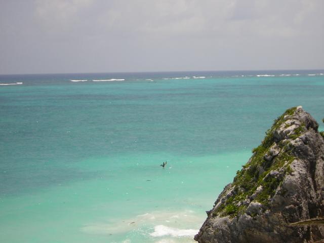 DSCN0115.jpg