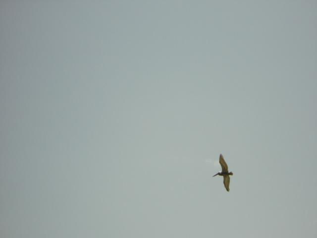 DSCN0116.jpg