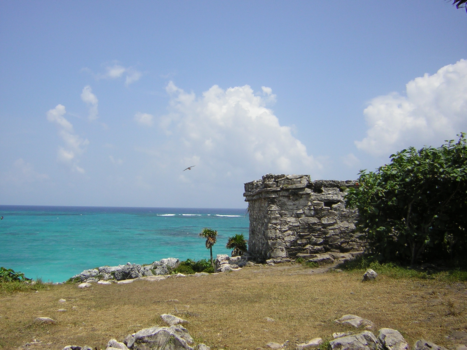DSCN0118.jpg
