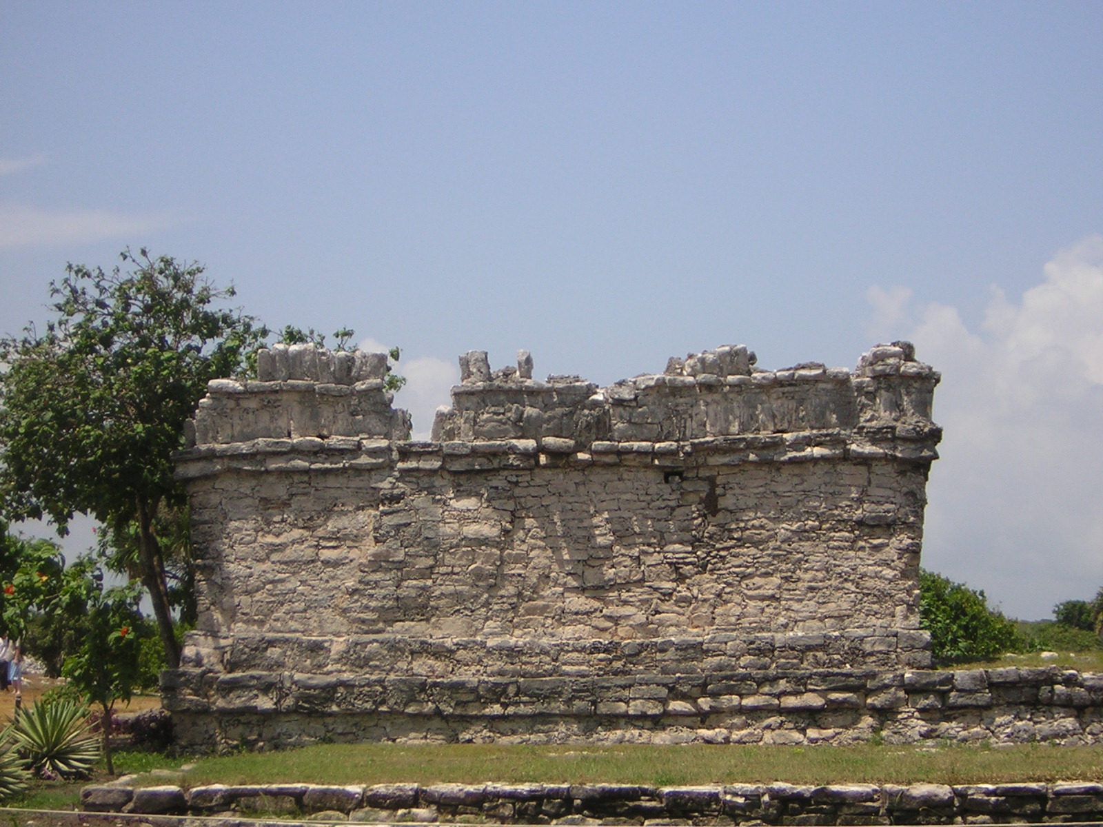 DSCN0122.jpg
