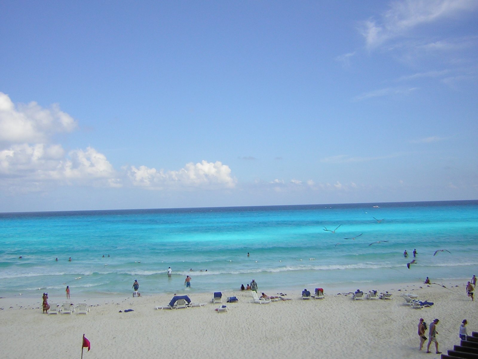 DSCN0128.jpg