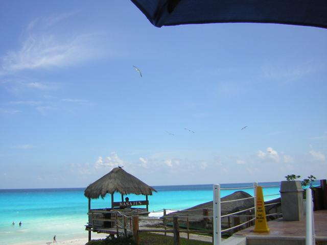 DSCN0129.jpg